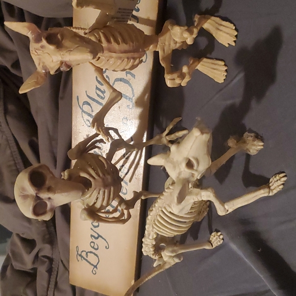 Dragon sign - Picture 3 of 3